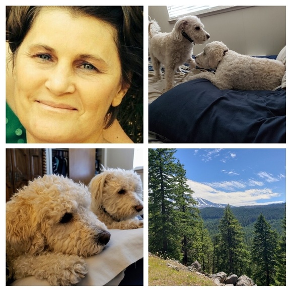 Meet your Posher, Karin - Picture 1 of 6